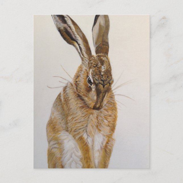 Carte postale Lièvre sauvage Peinture acrylique (Devant)