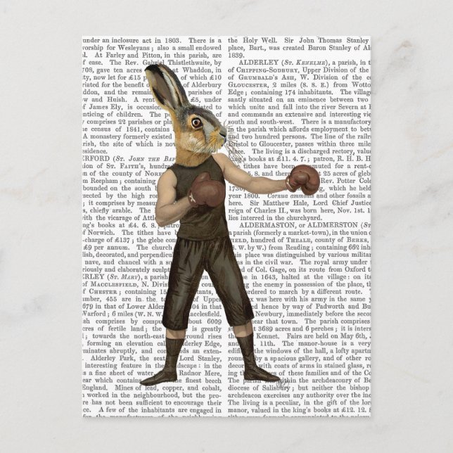 Carte Postale Lièvres de boxe (Devant)