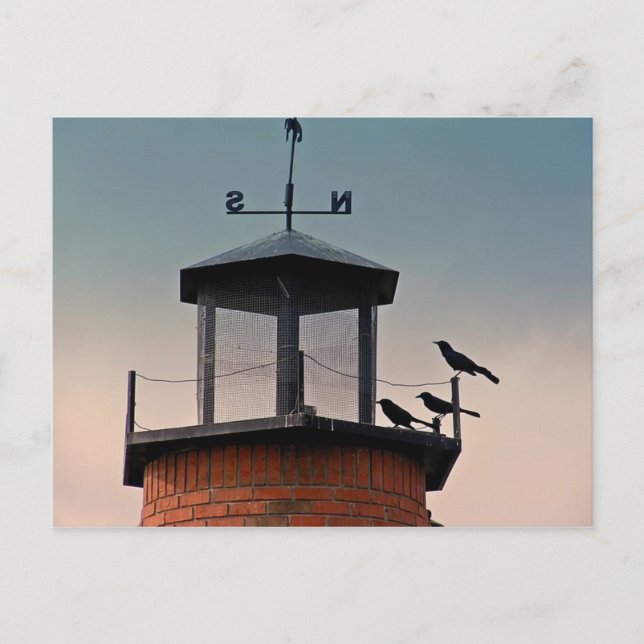 CARTE POSTALE LIGHTHOUSE (Devant)