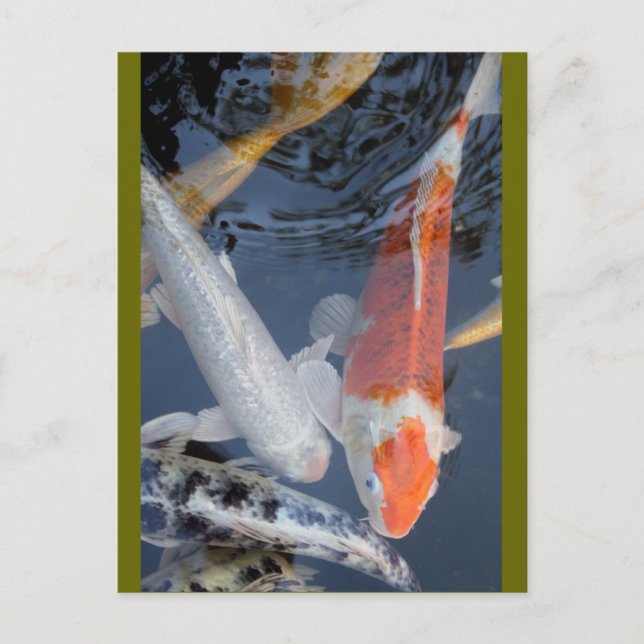 Carte Postale lightner&apos ; s 043 (Devant)