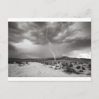 Carte Postale Lightning Joshua Tree B&W