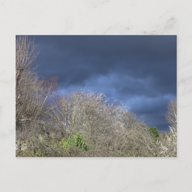 Carte Postale Ligne aérienne bleue profonde (Devant)