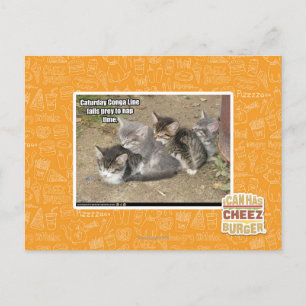 Carte Postale Ligne Caturday Conga