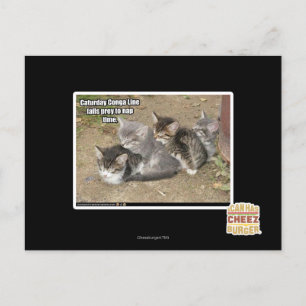 Carte Postale Ligne Caturday Conga