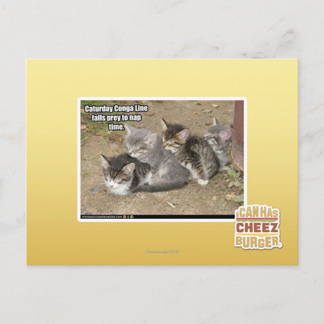Carte Postale Ligne Caturday Conga (Devant)