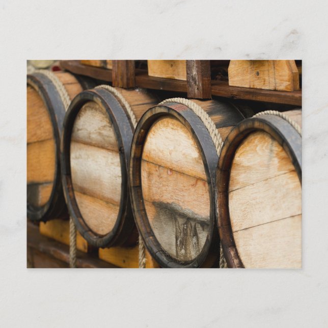 Carte Postale Ligne en tonneau de vin (Devant)
