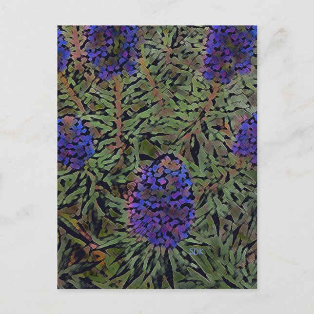 Carte Postale Lignes de Lavender (Devant)