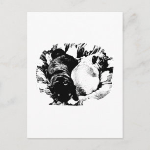 Carte Postale Lignes simples, calmes et douces