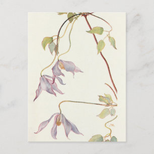 Carte Postale Lilac Clematis par Margaret Armstrong