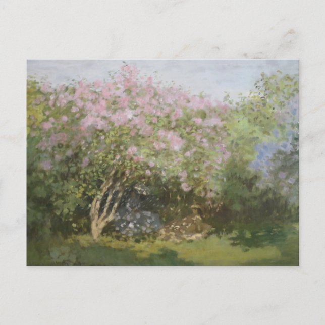 Carte Postale Lilacs au soleil par Claude Monet Postcard (Devant)