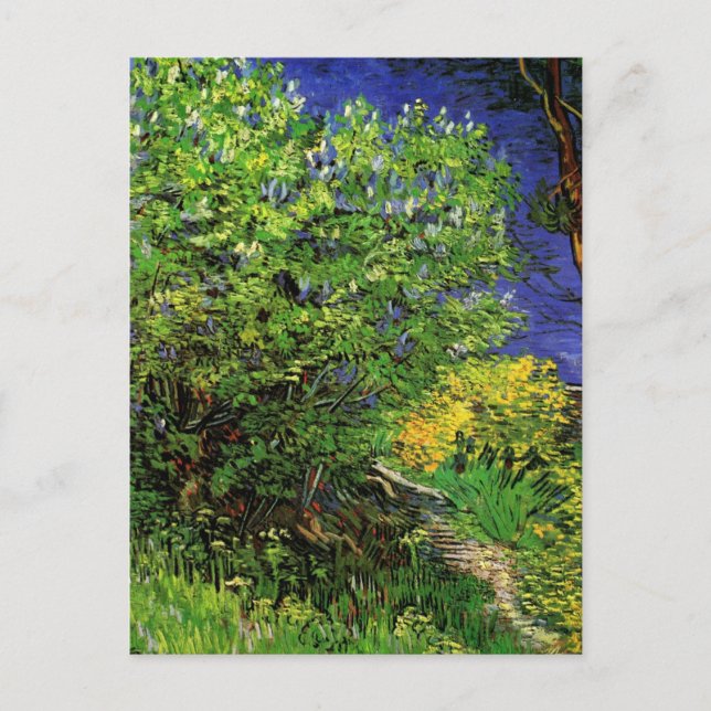 Carte Postale Lilacs de Vincent van Gogh, Fleurs de Jardin Vinta (Devant)