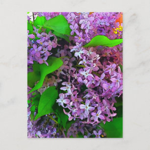 Carte Postale Lilacs peintres