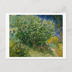 Carte Postale Lilacs, Vincent van Gogh