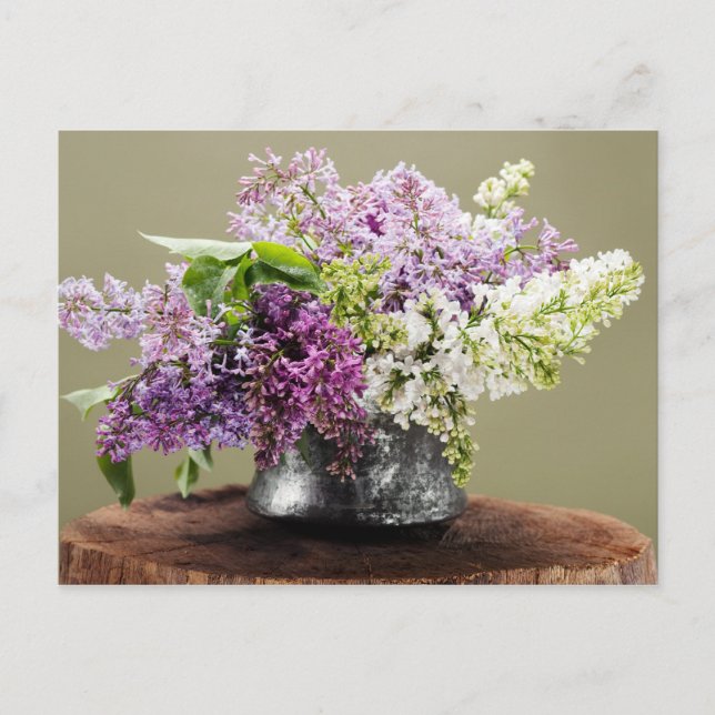 Carte Postale lilas (Devant)