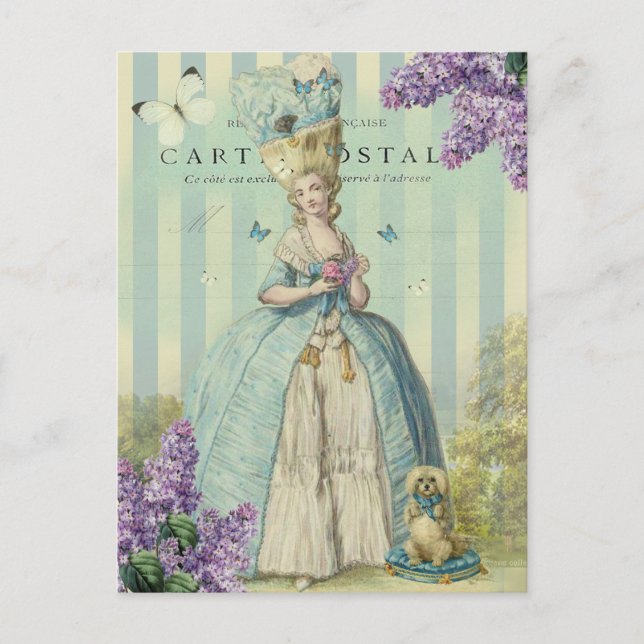 Carte Postale Lilas au printemps (Devant)