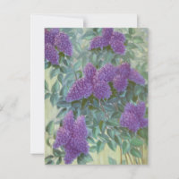 Lilas pourpre de Cargill, 1937