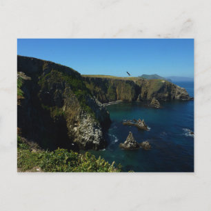 Carte Postale L'île d'Anacapa dans le Parc national des îles Cha
