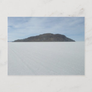 Carte Postale L'île de Cactus