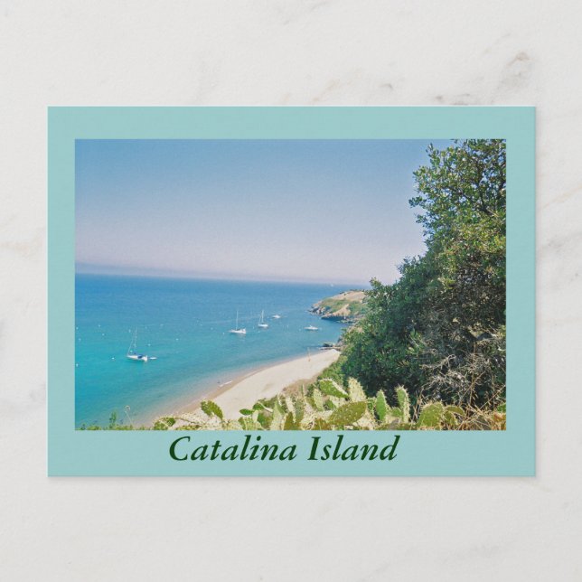 Carte Postale L'île de Catalina (Devant)