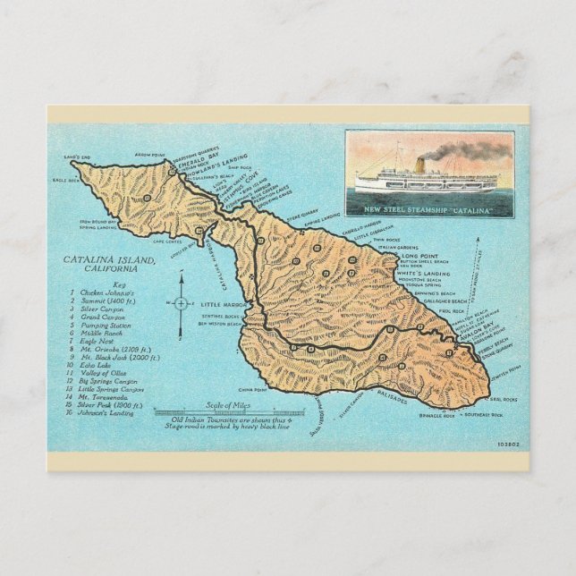 Carte Postale L'île de Catalina vintage (Devant)