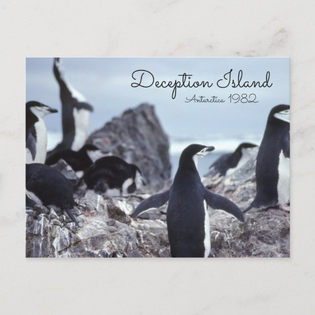 Carte Postale L'île de la tromperie de l'Antarctique (Devant)