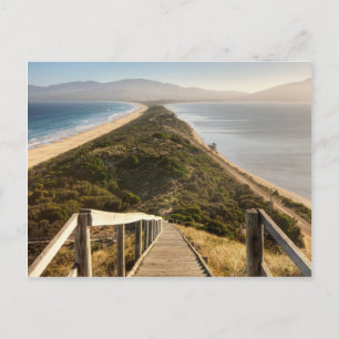 Carte Postale L'île de Neck Bruny