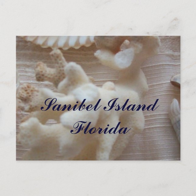 Carte Postale L'île de Sanibel (Devant)