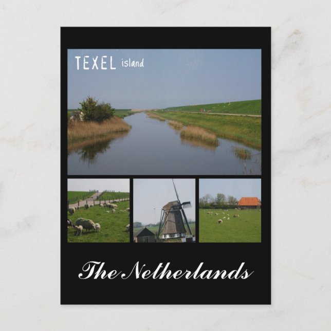 Carte Postale L'île Texel (Devant)