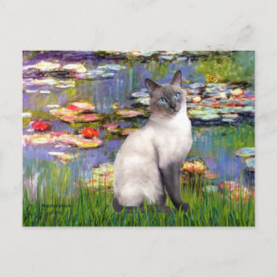 Carte Postale Lilies 2 - Chat siamois Blue Point