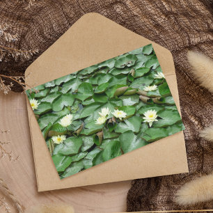 Carte Postale Lillies d'eau