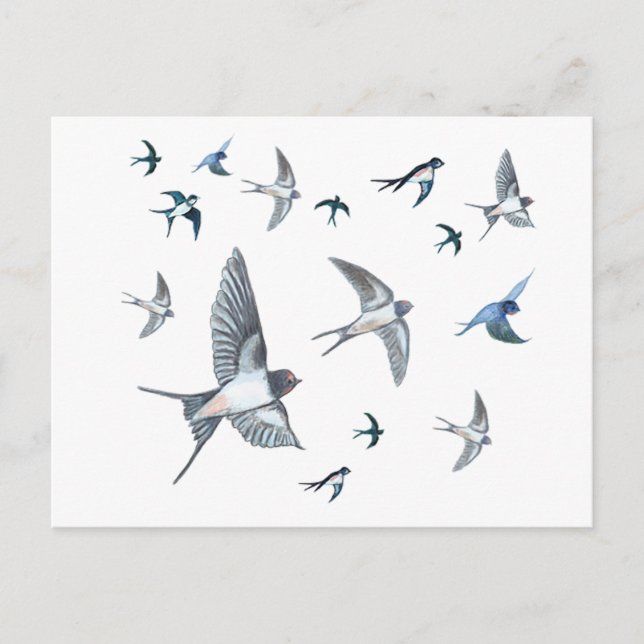 Carte Postale L'Illustration De L'Avalière Volante (Devant)