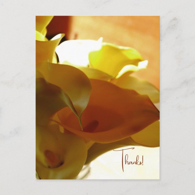 Carte postale LILLY (Devant)