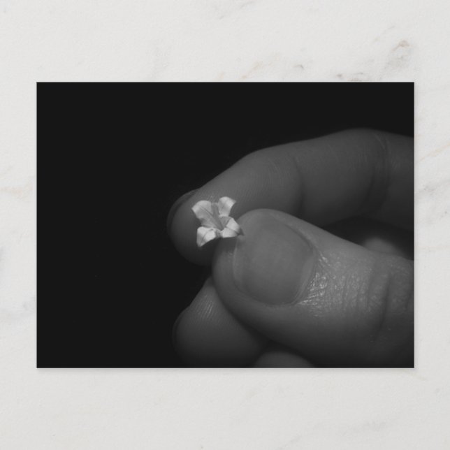 Carte Postale Lily (Devant)