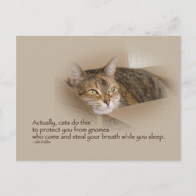 Carte Postale Lily #1 (Devant)