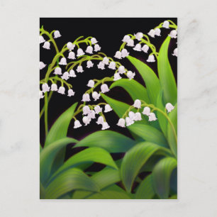 Carte Postale Lily de la Vallée