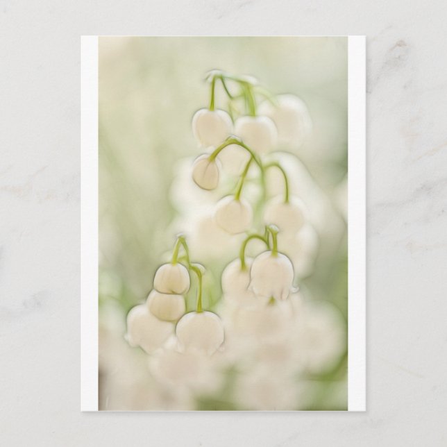 Carte Postale Lily de la Vallée (Devant)