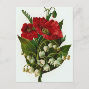Carte Postale Lily De La Vallée Et Le Design Vintage Du Pavot