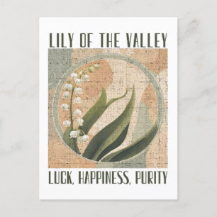 Carte Postale Lily de la vallée Mois de naissance Fleur Retro