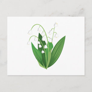 Carte Postale Lily Of The Valley