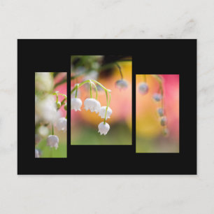 Carte Postale Lily of the valley postcard