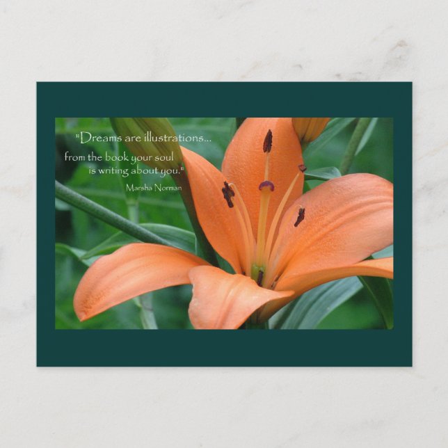 Carte Postale Lily orange (Devant)