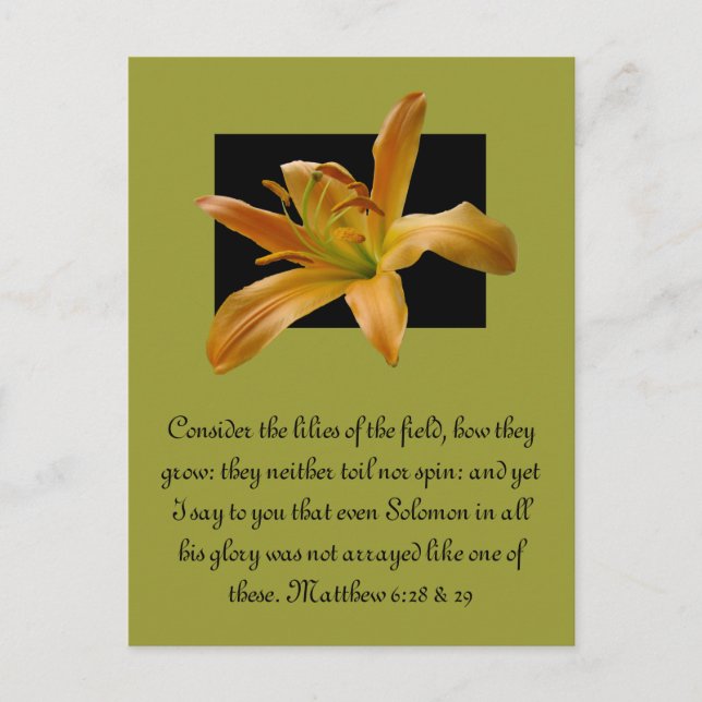 Carte Postale Lily orange de Larry (Devant)