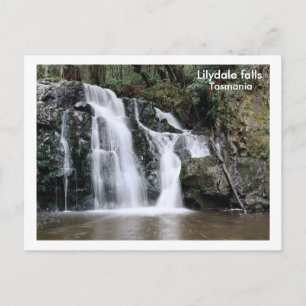 Carte Postale Lilydale chutes, Tasmanie