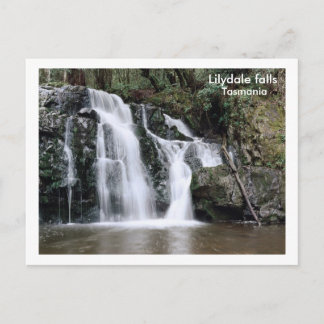 Carte Postale Lilydale chutes, Tasmanie