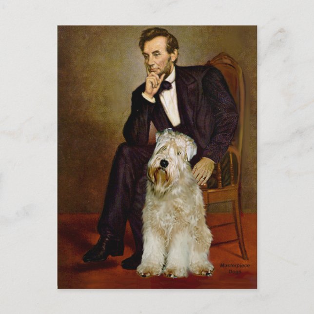 Carte Postale Lincoln - Wheaten Terrier 7 (Devant)
