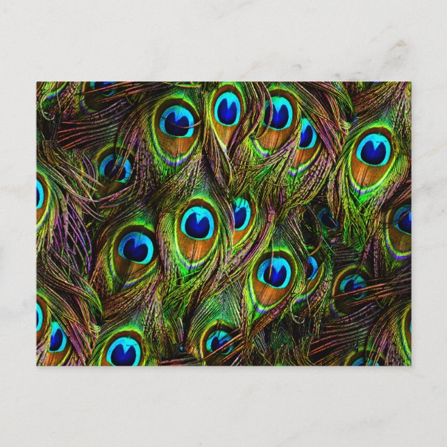 Carte Postale L'invasion des plumes de paon (Devant)