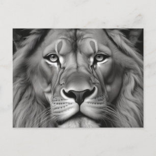 Carte Postale Lion