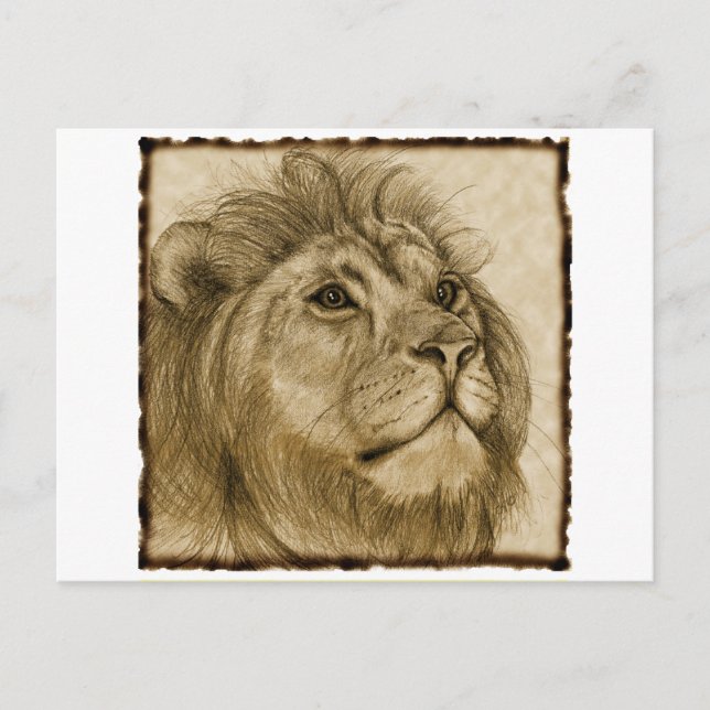 CARTE POSTALE LION (Devant)