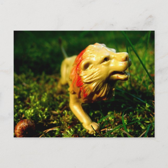 Carte Postale lion (Devant)