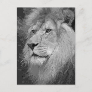 Carte Postale Lion